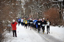 Titelbild des Albums: Winterlaufserie 10km