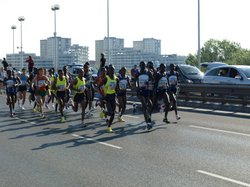 Titelbild des Albums: Wien Marathon 2009
