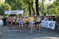 31. Berliner Straßenlauf - der Start mit Robert, Patrik und Carsten