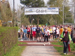 Titelbild des Albums: Darß-Marathon 2006